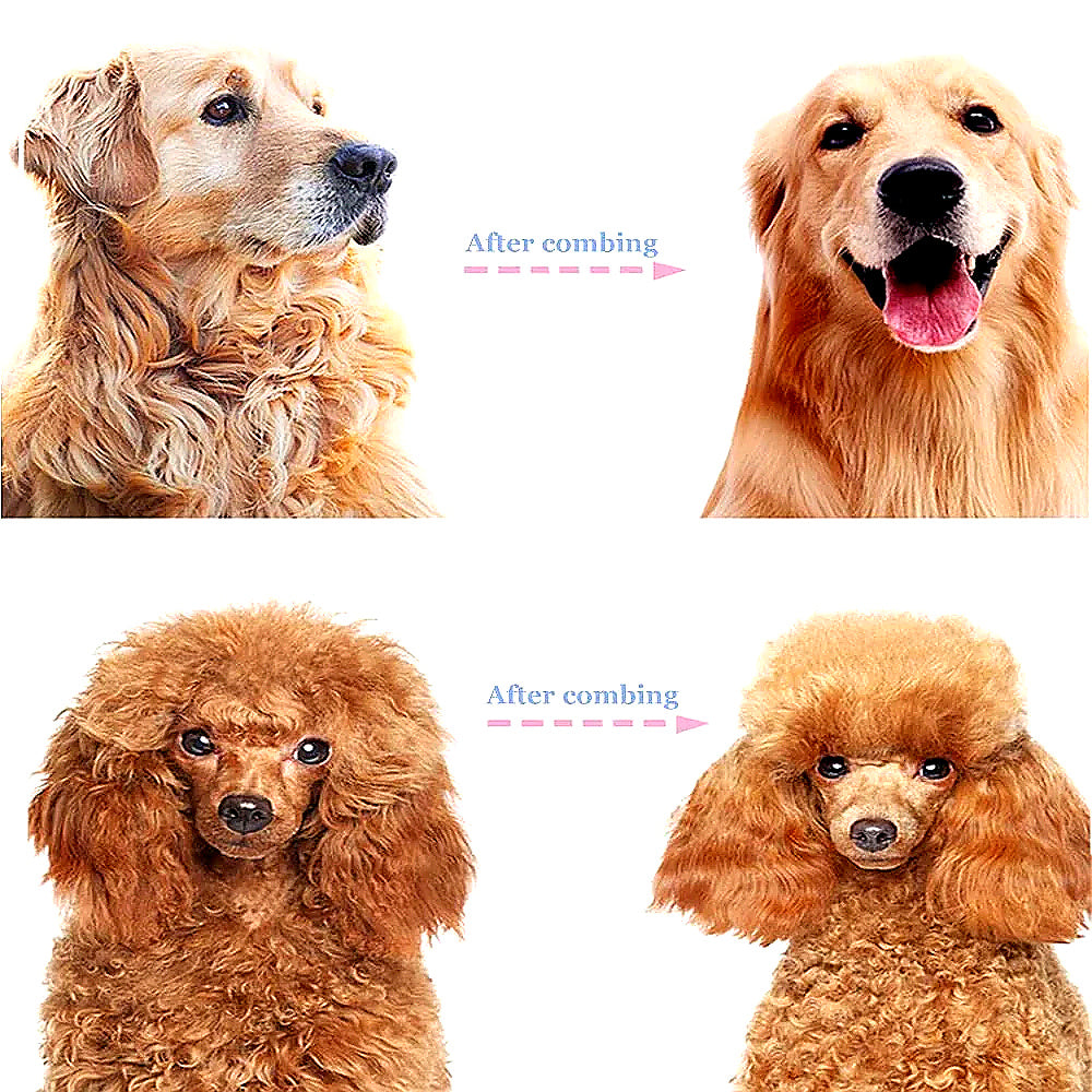 🐾 Professional Deshedding Tool for Dogs & Cats – Gentle, Efficient & Fur-Free Home ✨💖