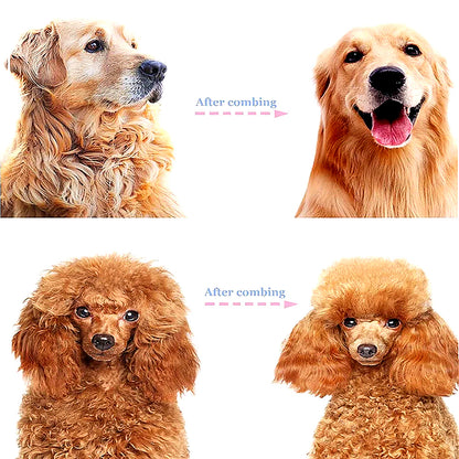 🐾 Professional Deshedding Tool for Dogs & Cats – Gentle, Efficient & Fur-Free Home ✨💖